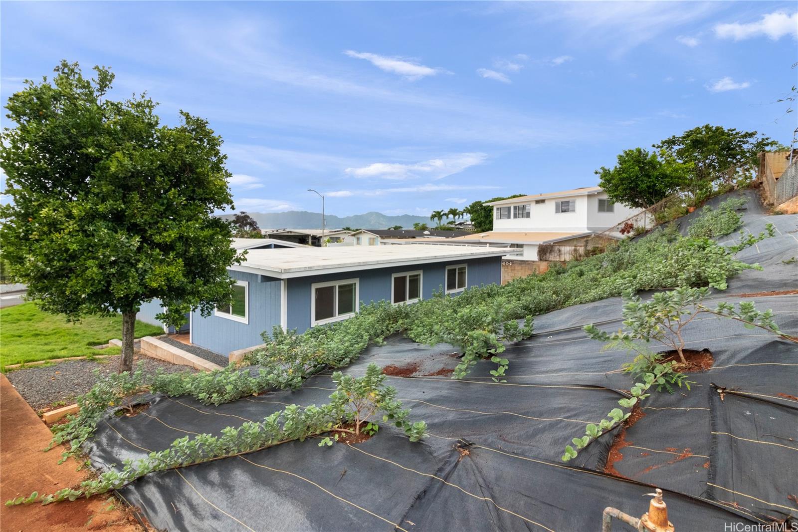 2226  Apoepoe St Pacific Palisades, PearlCity home - photo 2 of 25