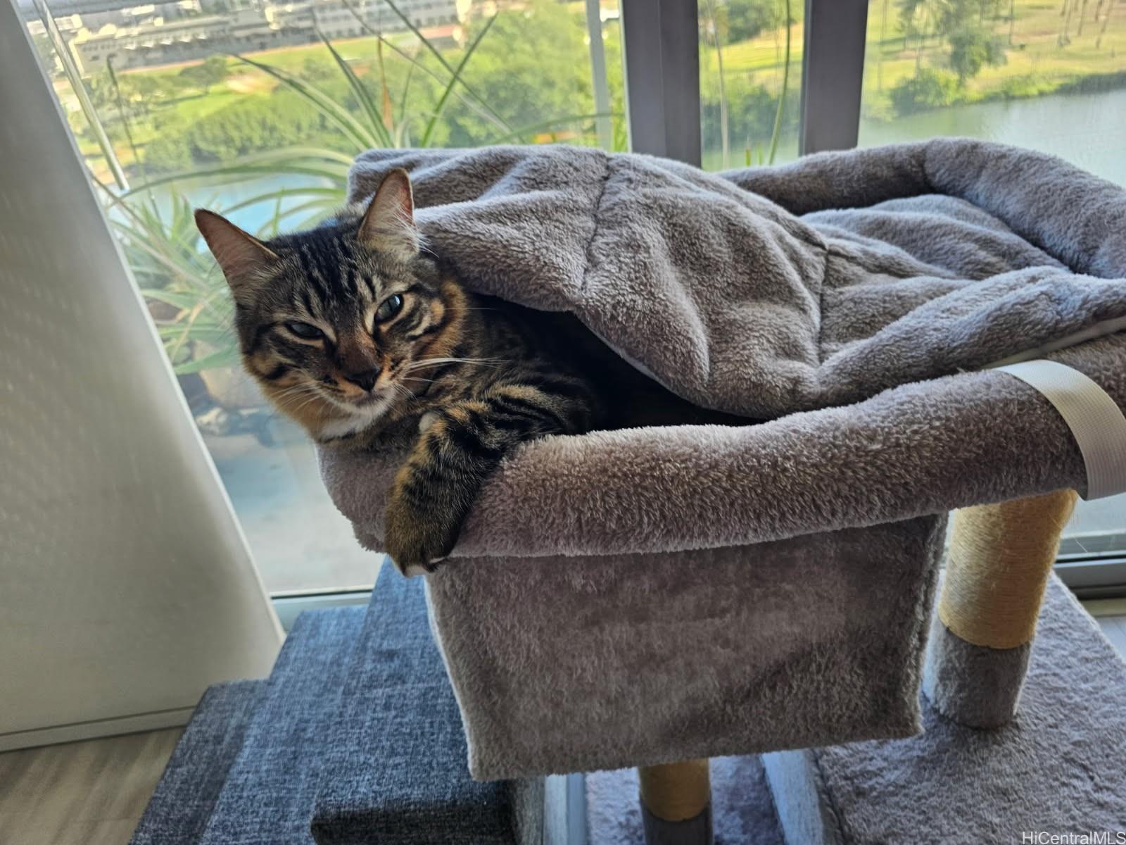 2233 Ala Wai condo # 10C, Honolulu, Hawaii - photo 24 of 25