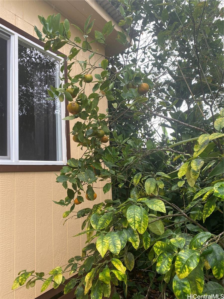 2239  California Ave Wahiawa Heights, Central home - photo 4 of 10