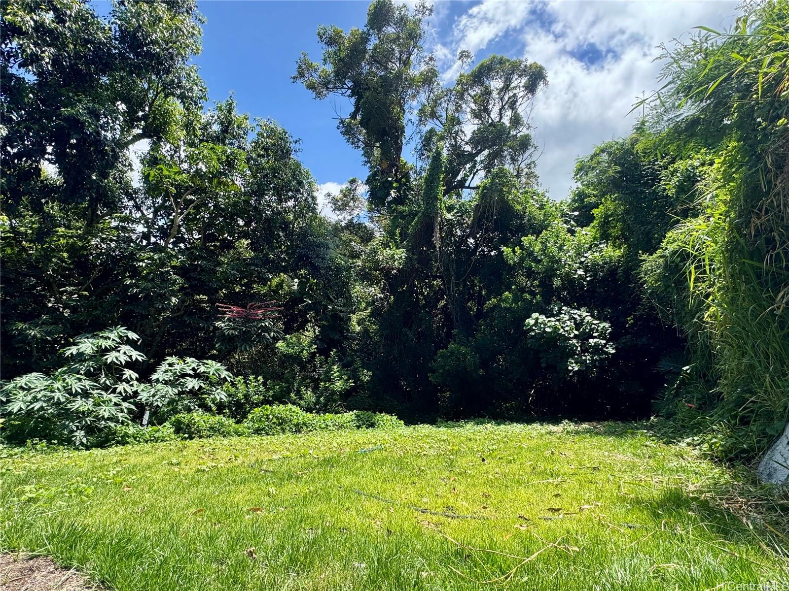 2318  Waiomao Road Palolo, Diamond Head home - photo 23 of 25
