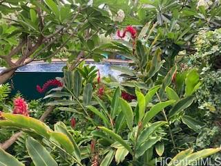 2333 Kapiolani Blvd Honolulu - Rental - photo 9 of 17