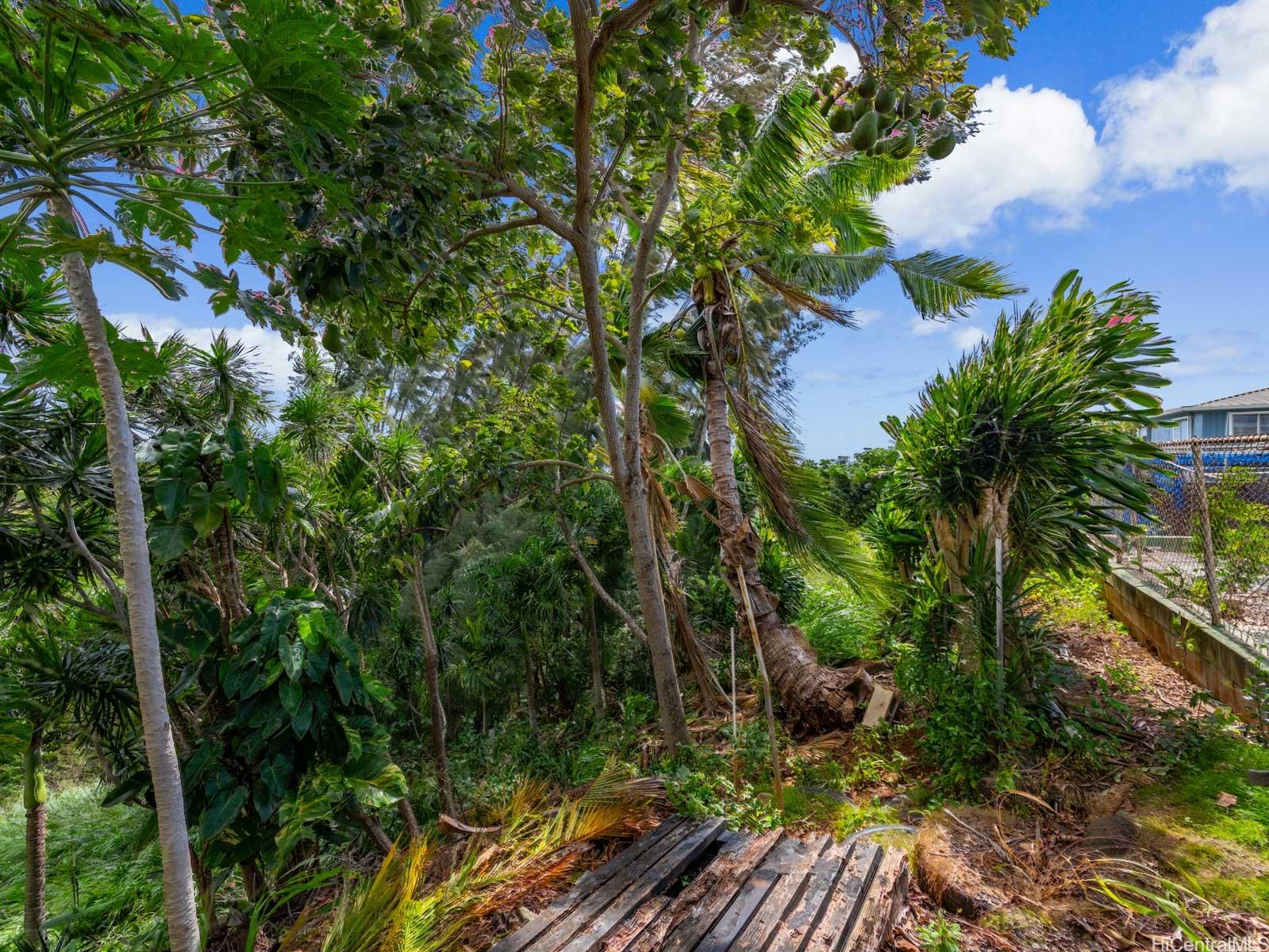 2335  Amokemoke Street Pacific Palisades, PearlCity home - photo 6 of 25