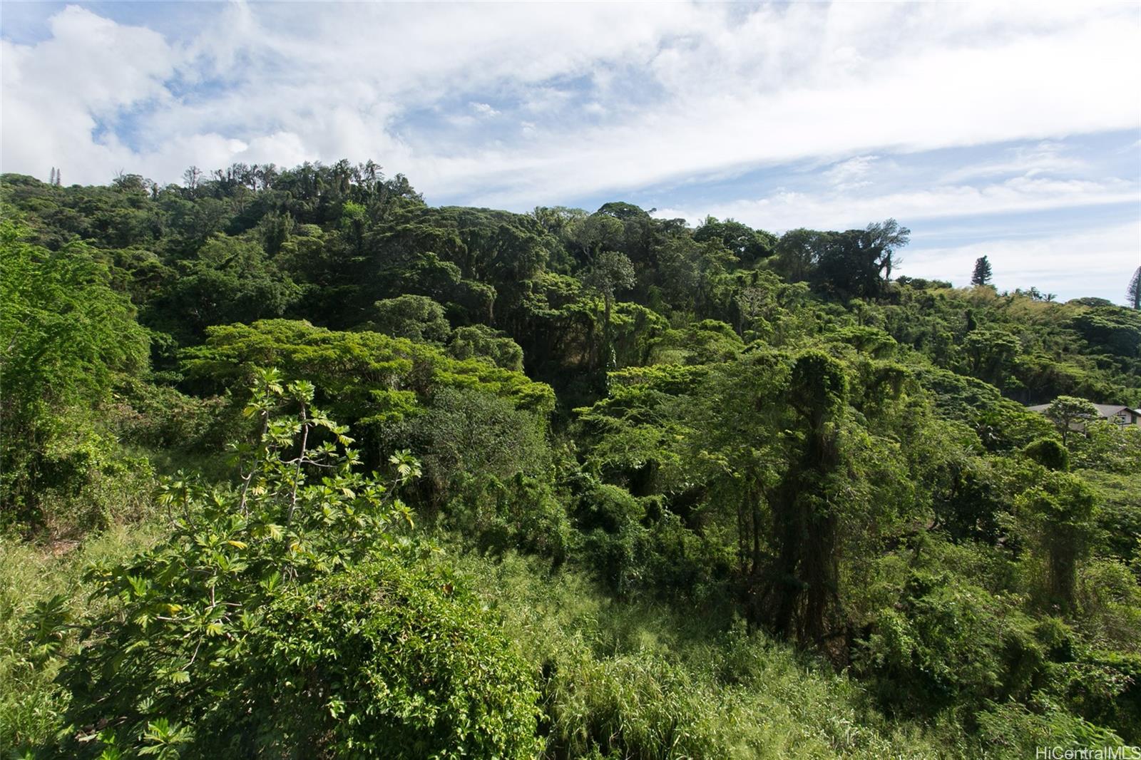 2343  Tantalus Drive Papakolea, Honolulu home - photo 14 of 25