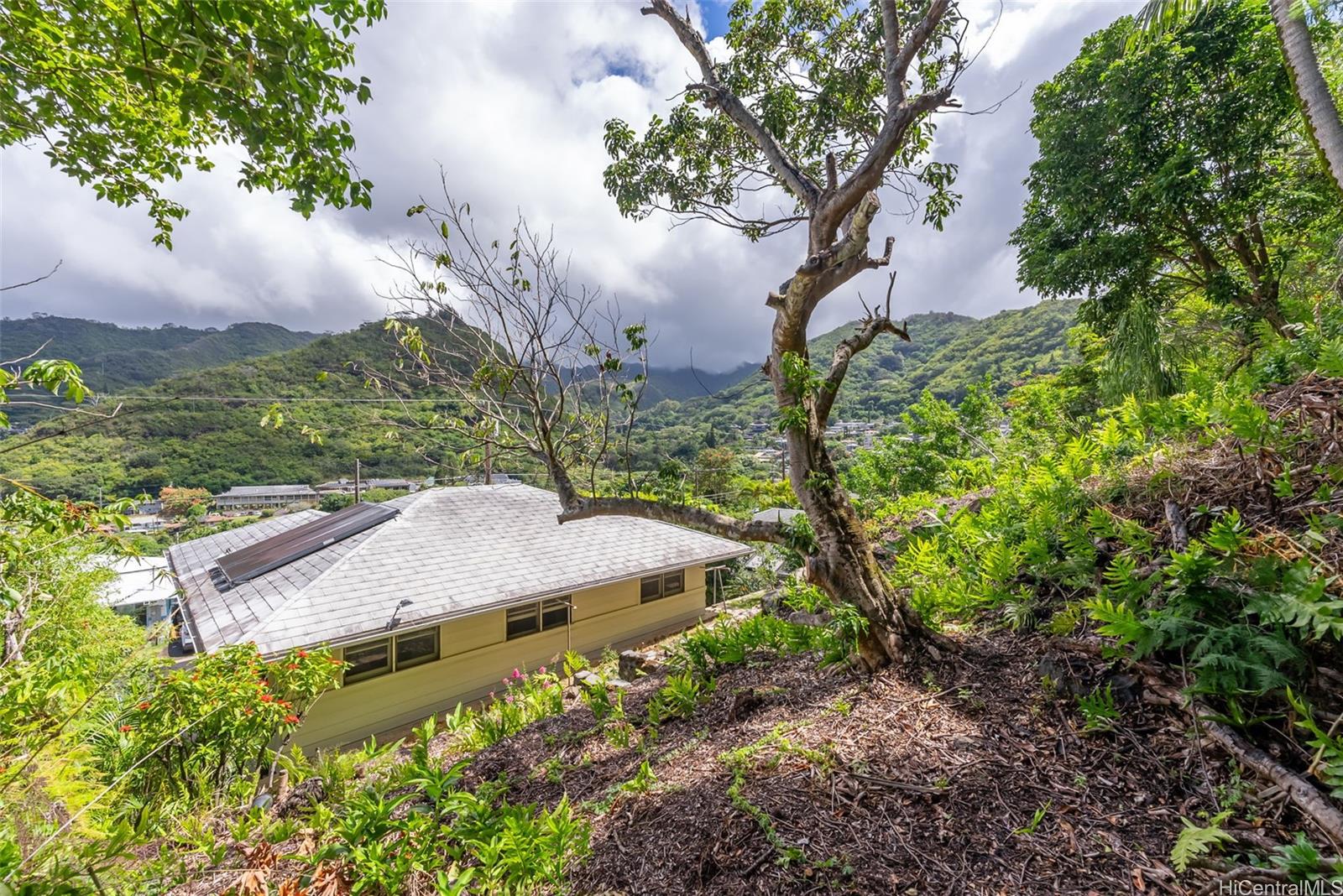 2359  Kuahea Street Palolo, Diamond Head home - photo 16 of 23