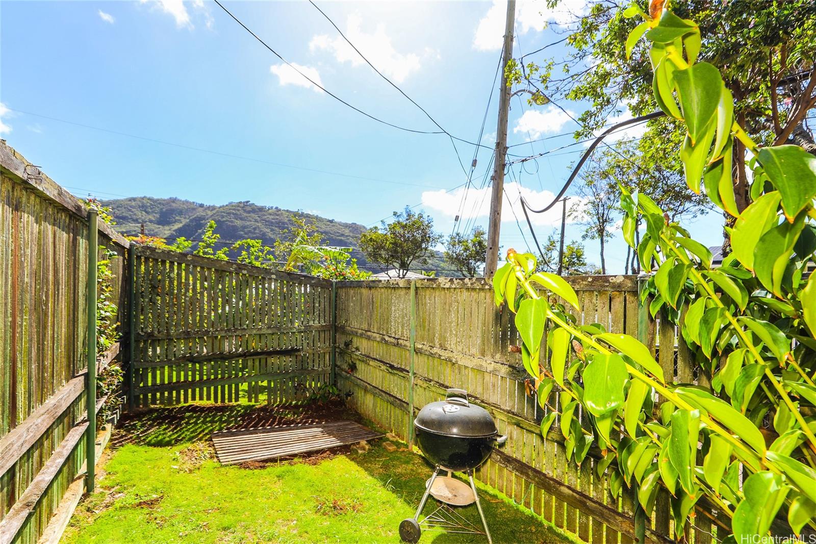 2404 Orchid St Honolulu - Rental - photo 24 of 25