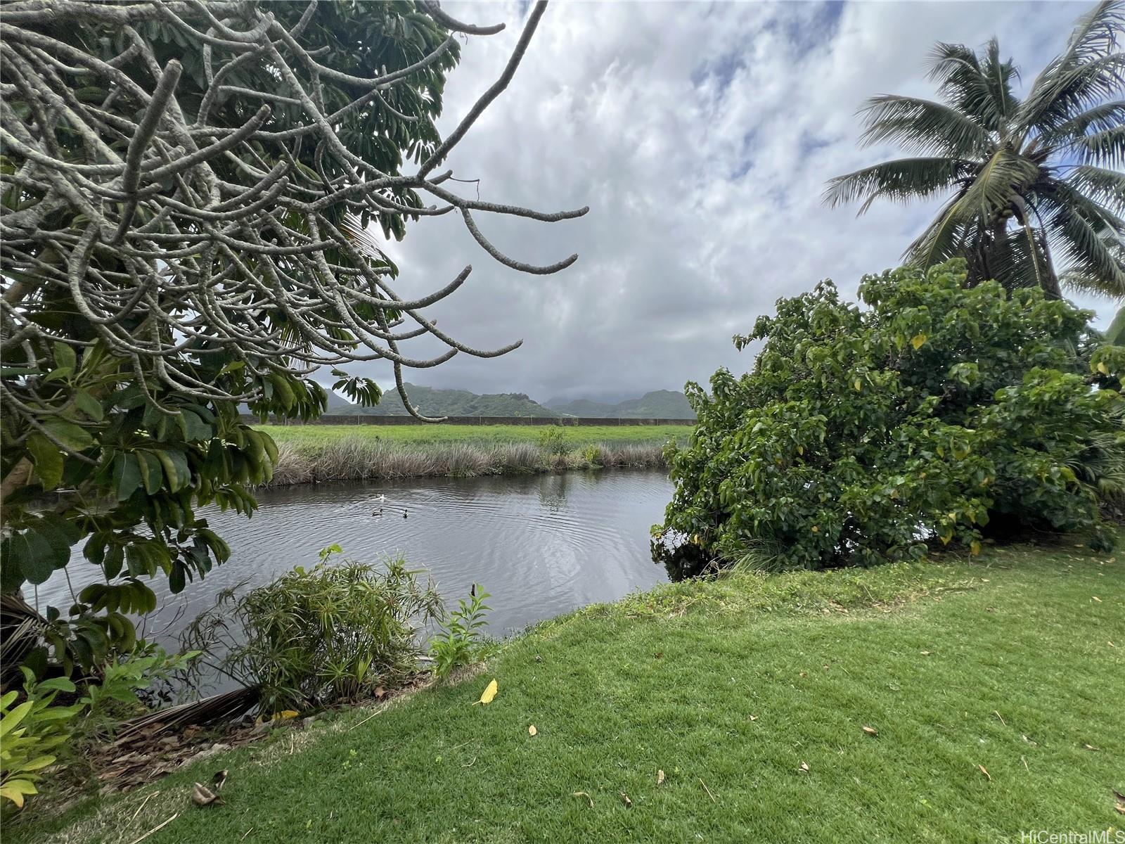241  Kihapai St Coconut Grove, Kailua home - photo 21 of 23