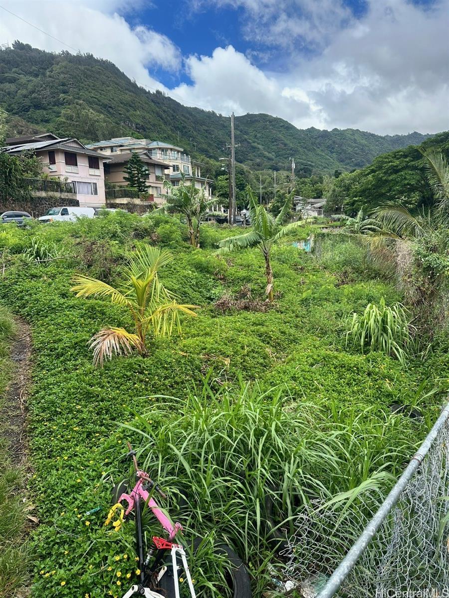 2448 Nalanieha Street  Honolulu, Hi vacant land for sale - photo 12 of 17