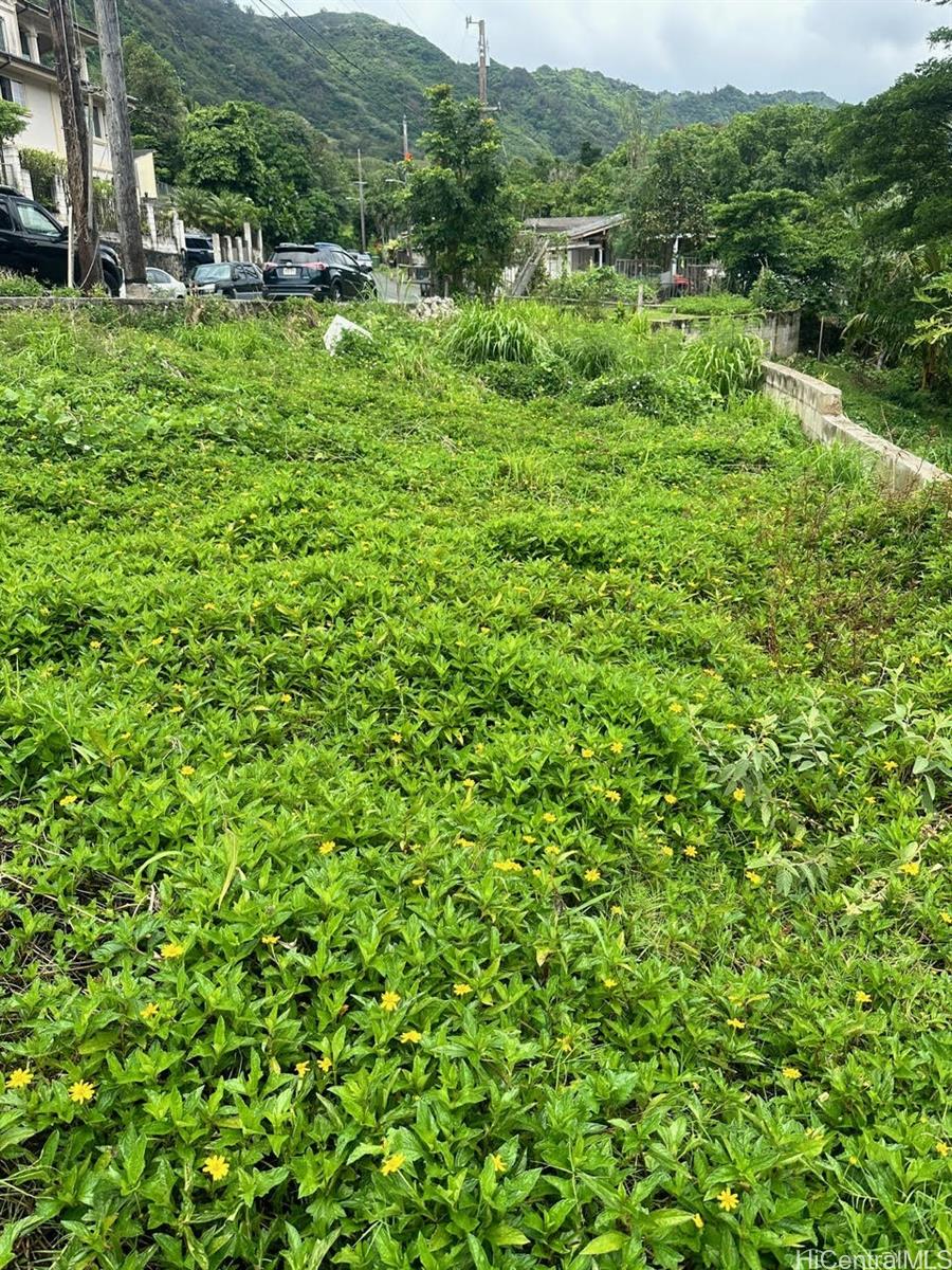 2448 Nalanieha Street  Honolulu, Hi vacant land for sale - photo 3 of 17