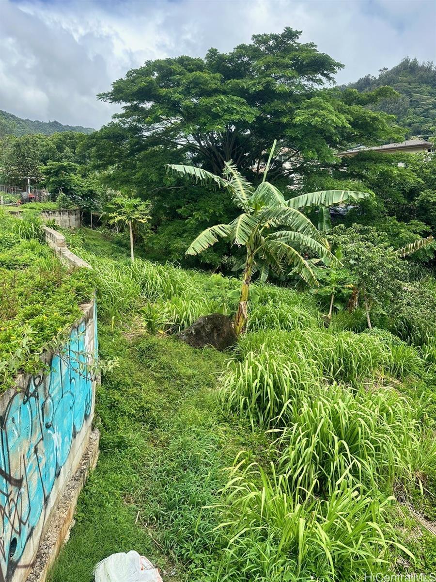 2448 Nalanieha Street  Honolulu, Hi vacant land for sale - photo 5 of 17