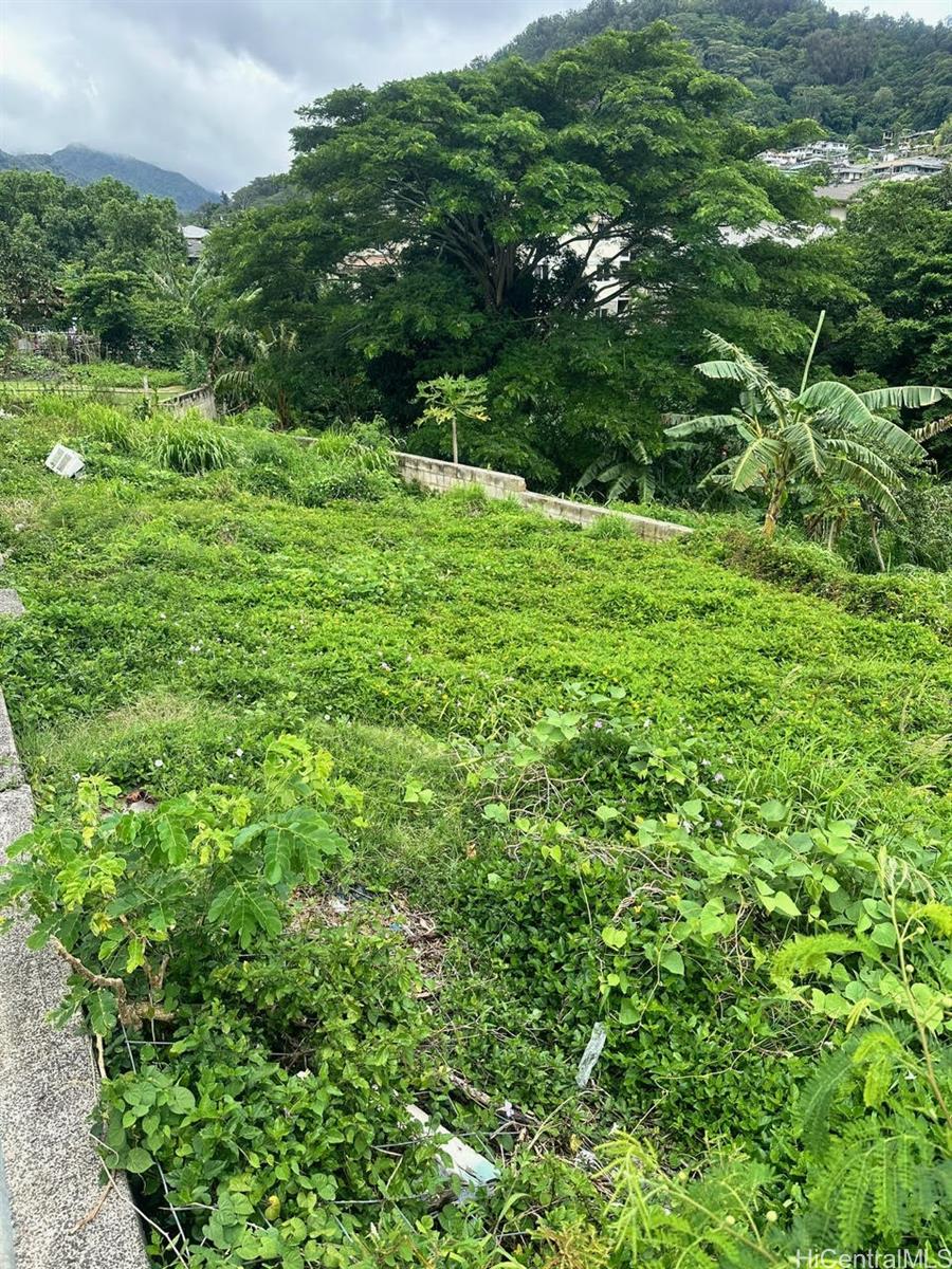 2448 Nalanieha Street  Honolulu, Hi vacant land for sale - photo 7 of 17