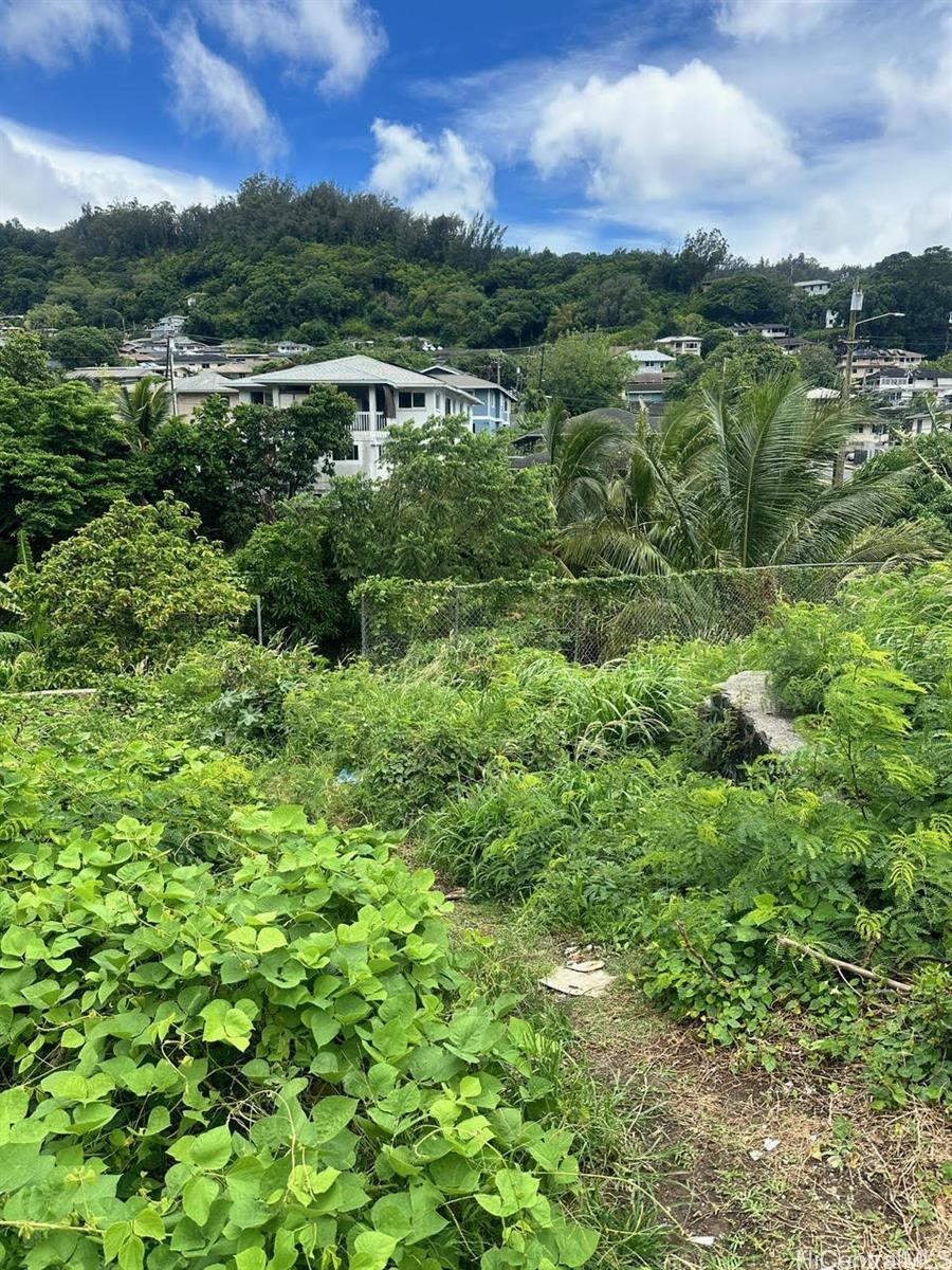 2448 Nalanieha Street  Honolulu, Hi vacant land for sale - photo 9 of 17