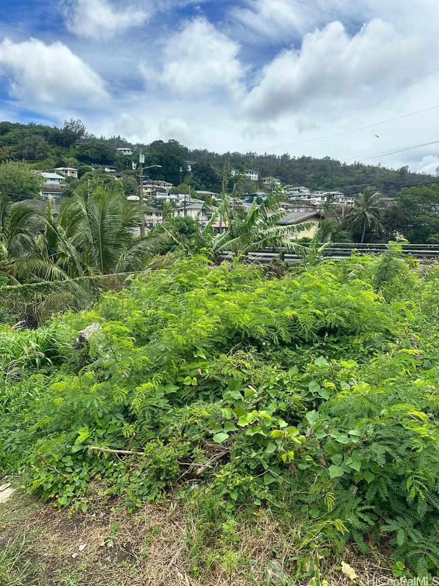 2448 Nalanieha Street  Honolulu, Hi vacant land for sale - photo 10 of 17