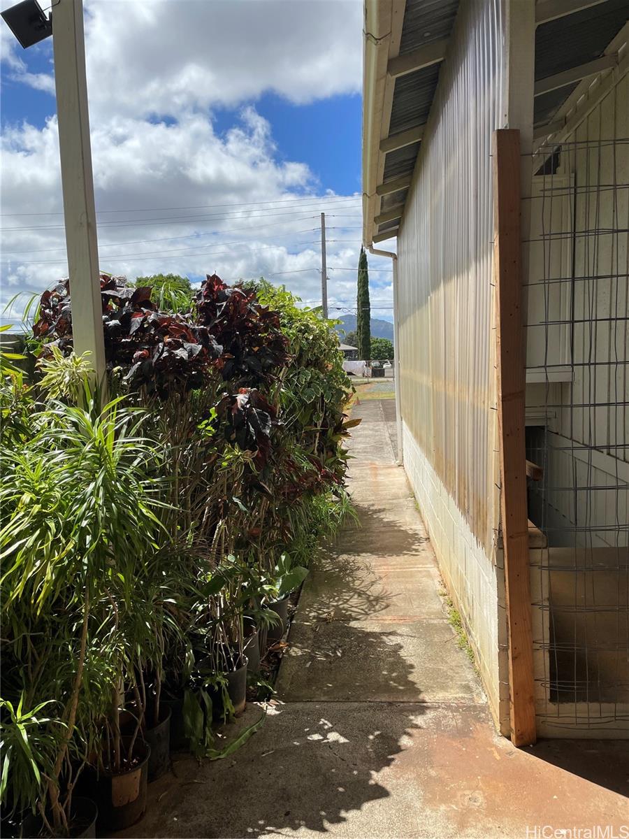 246 Lehua St Wahiawa - Rental - photo 8 of 14