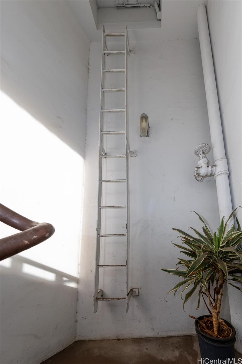 250 Kapili Street Honolulu - Multi-family - photo 12 of 25