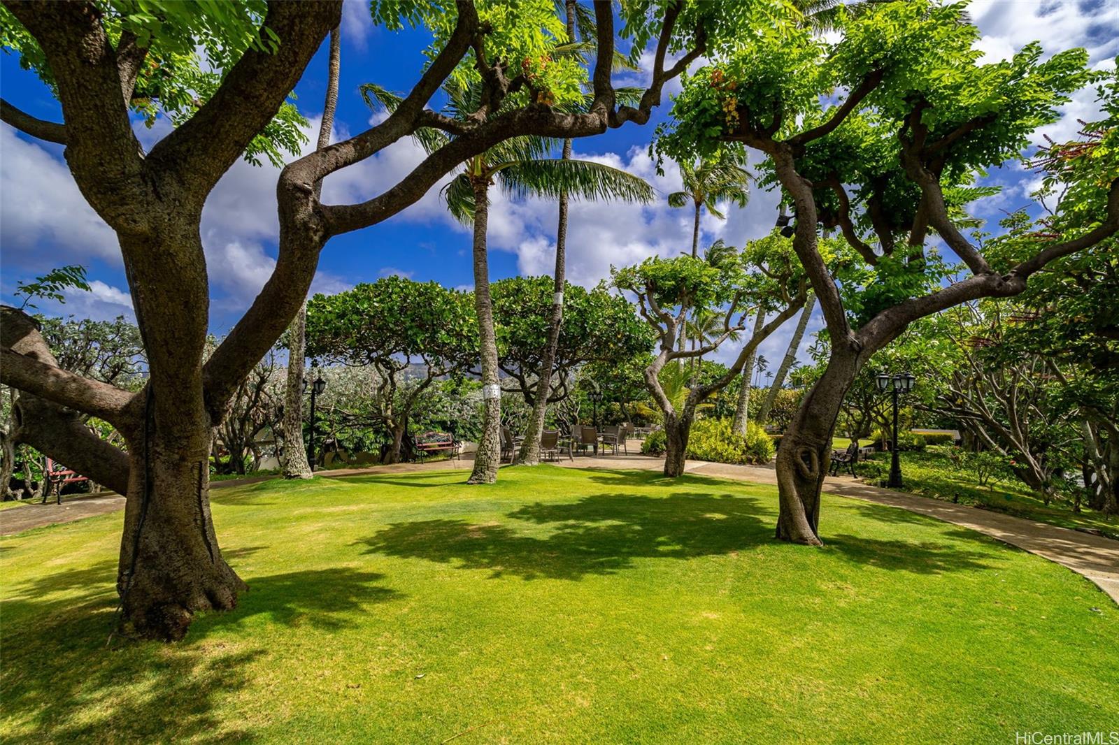 Mt Terrace condo # 16B, Honolulu, Hawaii - photo 16 of 24