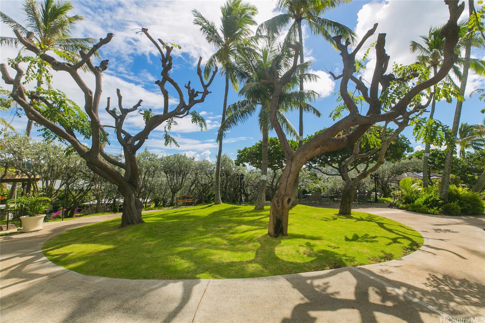Mt Terrace condo # 8B, Honolulu, Hawaii - photo 20 of 24