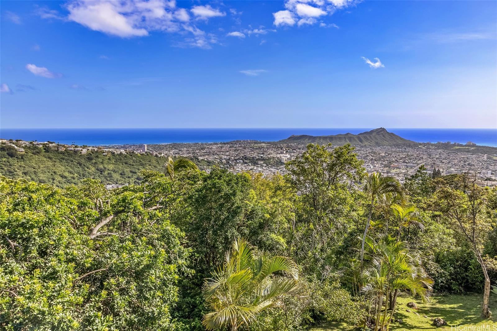 2533  Saul Place St. Louis, Diamond Head home - photo 15 of 18