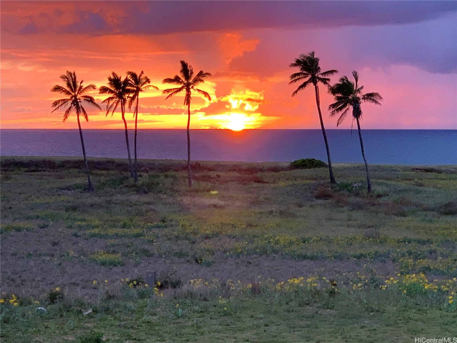 West Molokai Resort condo # 20B04-1144, Maunaloa, Hawaii - photo 4 of 25