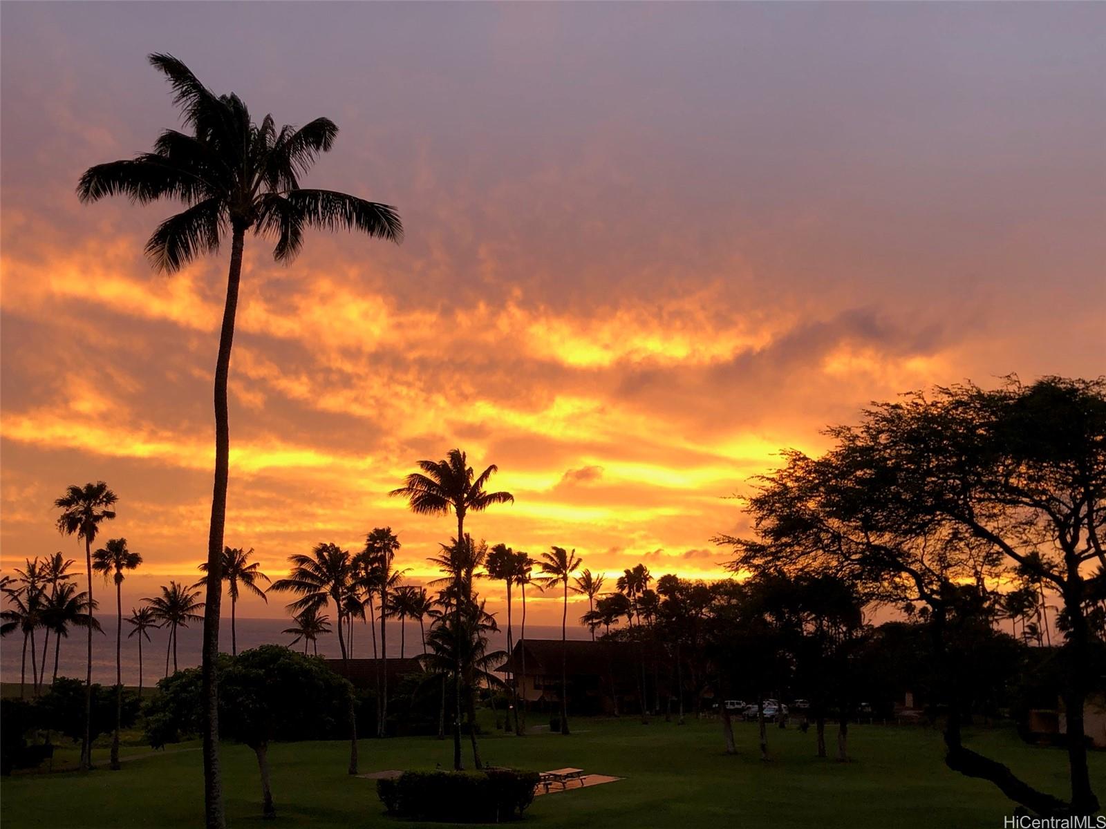 West Molokai Resort condo # 20B12-2146, Maunaloa, Hawaii - photo 12 of 25
