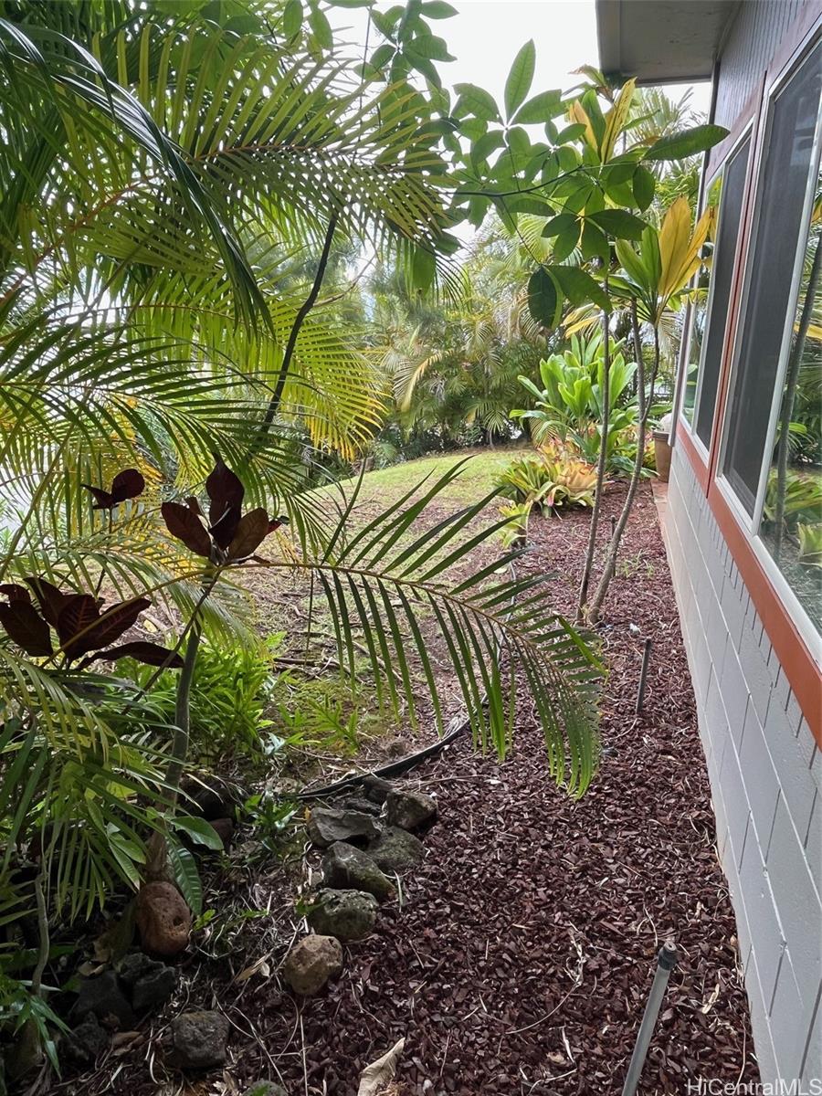 2554 Halekoa Drive Honolulu - Rental - photo 24 of 25