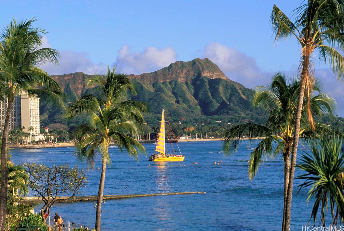 2572 Lemon Road Honolulu - Rental - photo 8 of 8