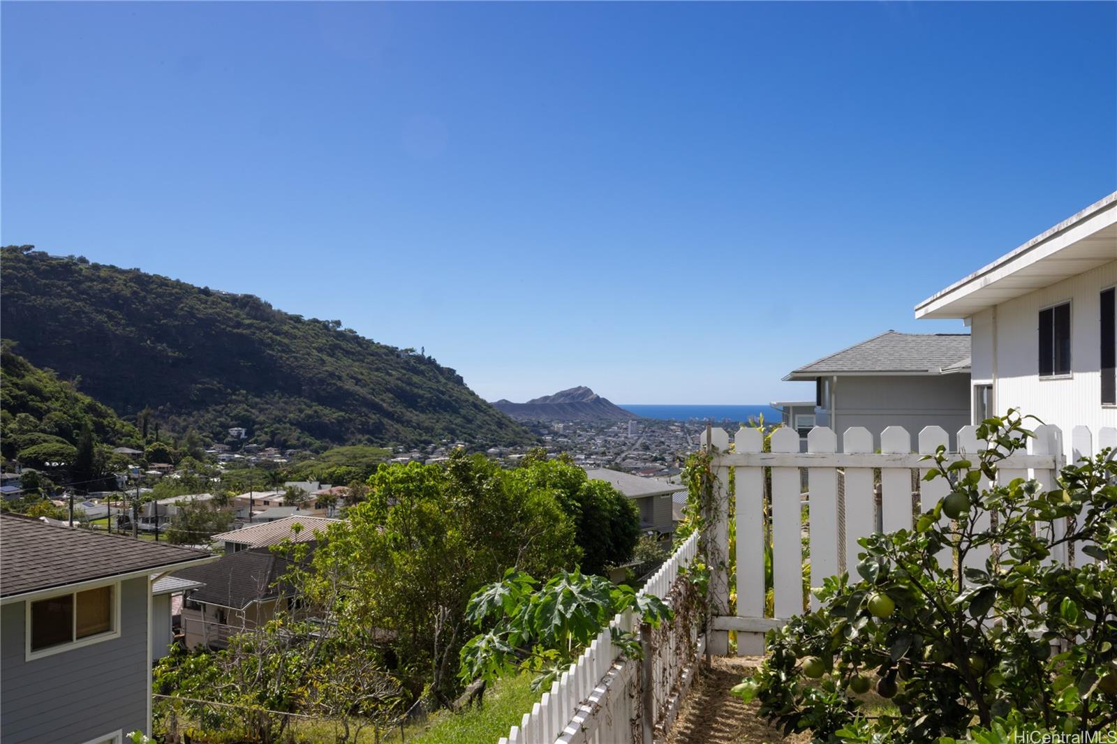 2601  Myrtle Street Palolo, Diamond Head home - photo 6 of 24