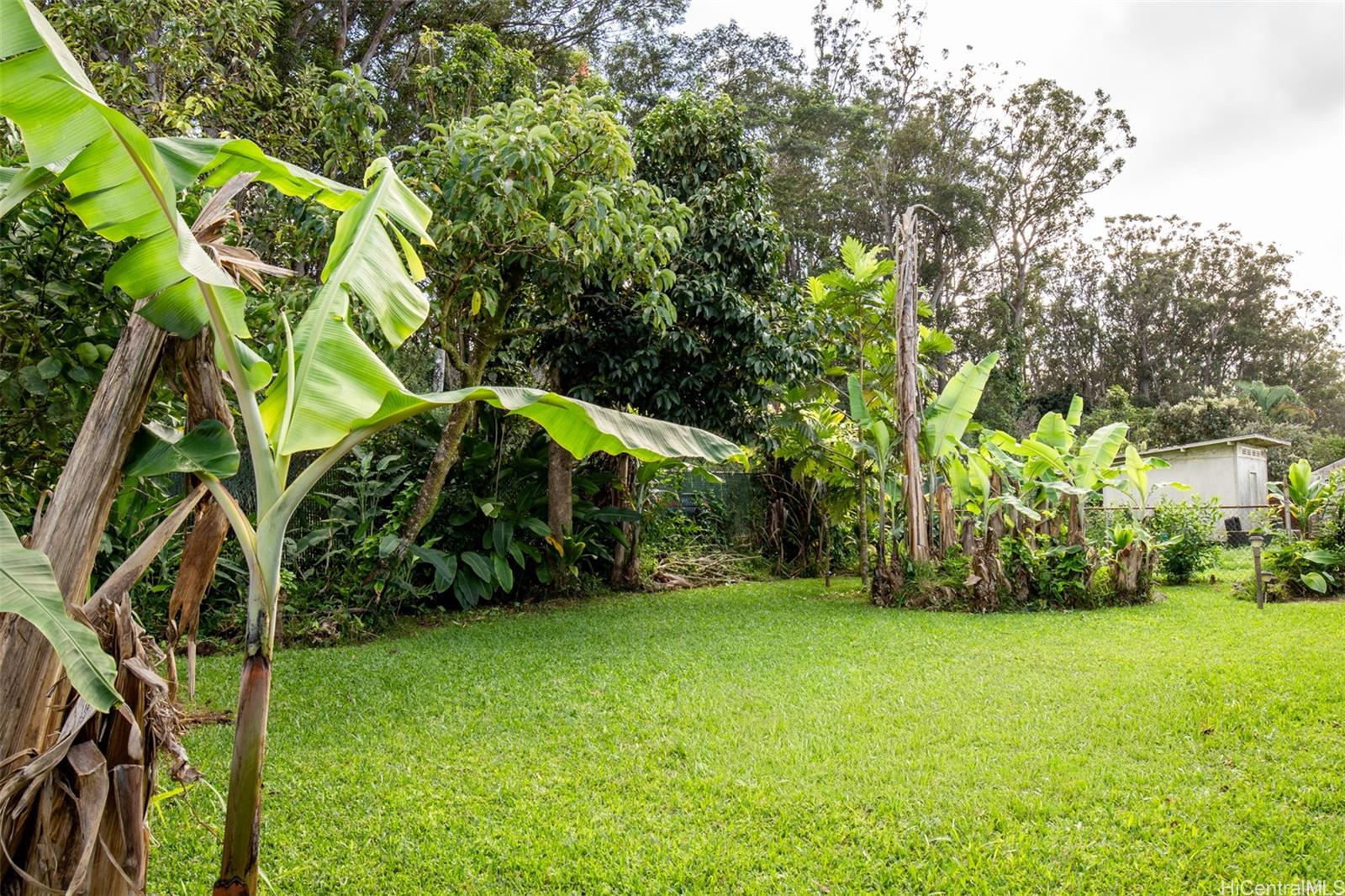 2619  California Ave Wahiawa Heights, Central home - photo 18 of 18