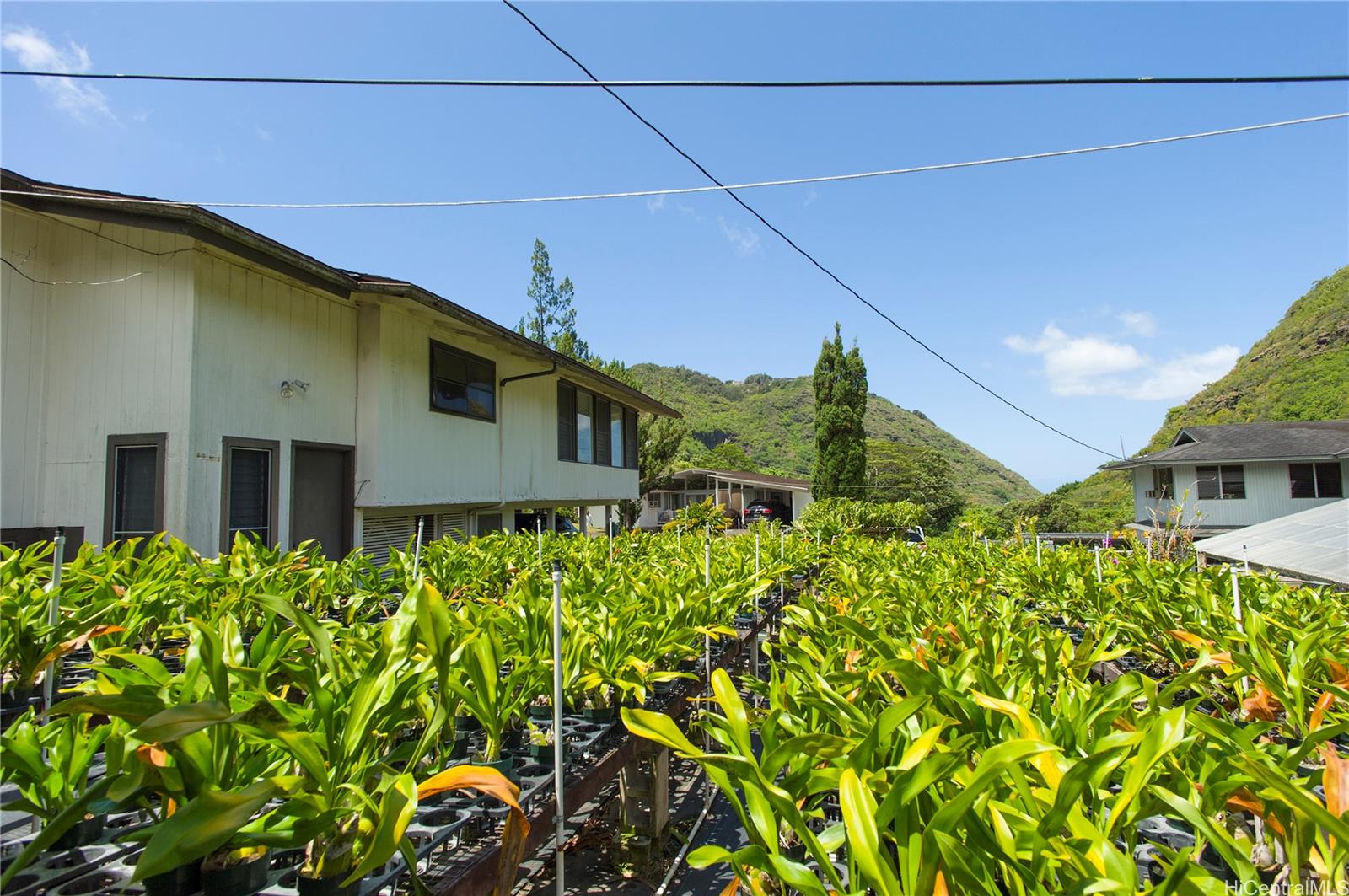 2630  Waiomao Road Palolo, Diamond Head home - photo 11 of 14