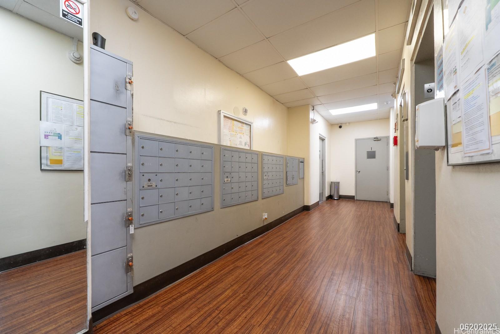 2651 Kuilei Street Honolulu - Rental - photo 5 of 22