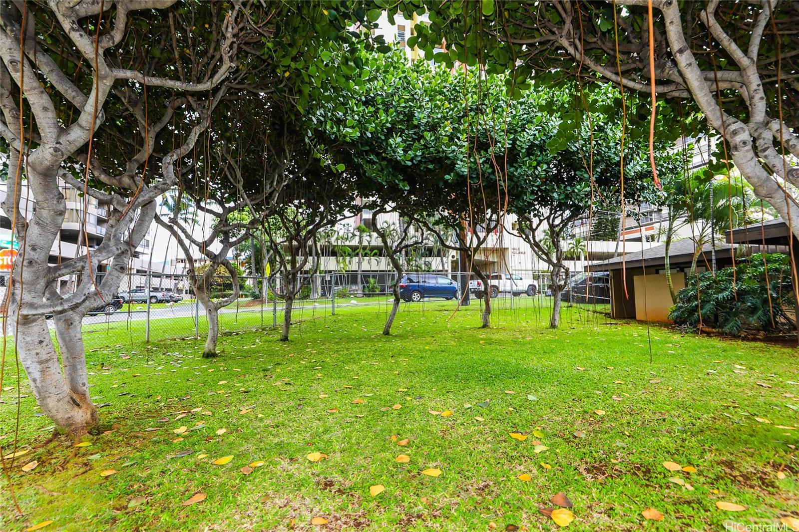 Parkland Gardens condo # 805, Honolulu, Hawaii - photo 3 of 21