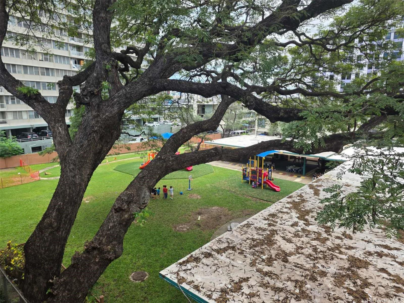 Moiliili Gardens condo # I308, Honolulu, Hawaii - photo 12 of 19