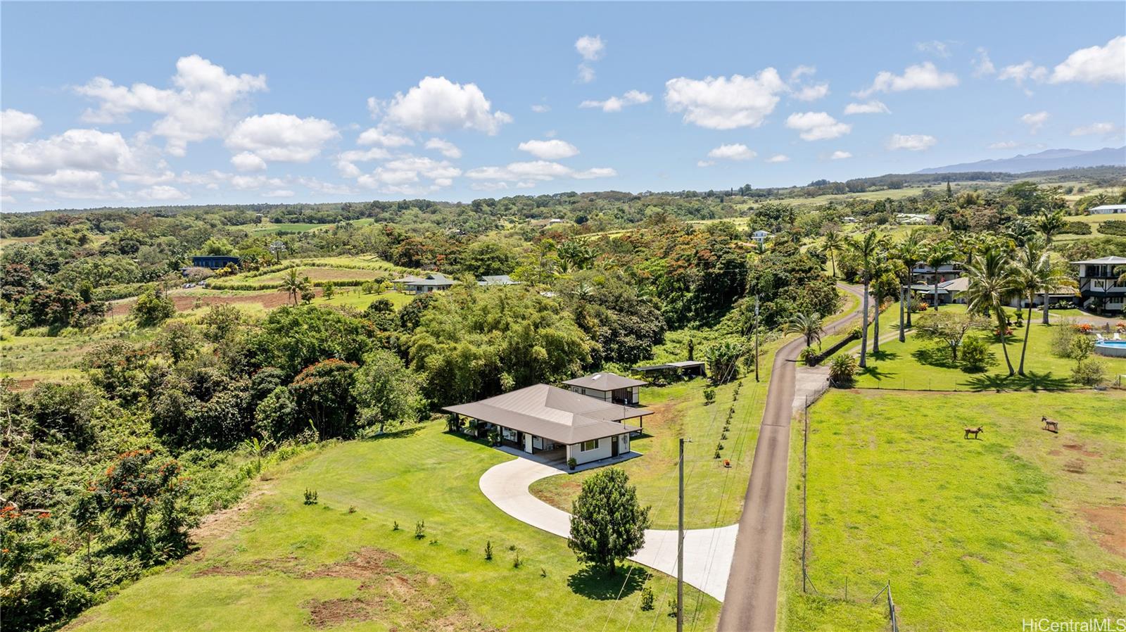 27-525  Kalaoa Camp Road Papaikou, South Hilo home - photo 2 of 25