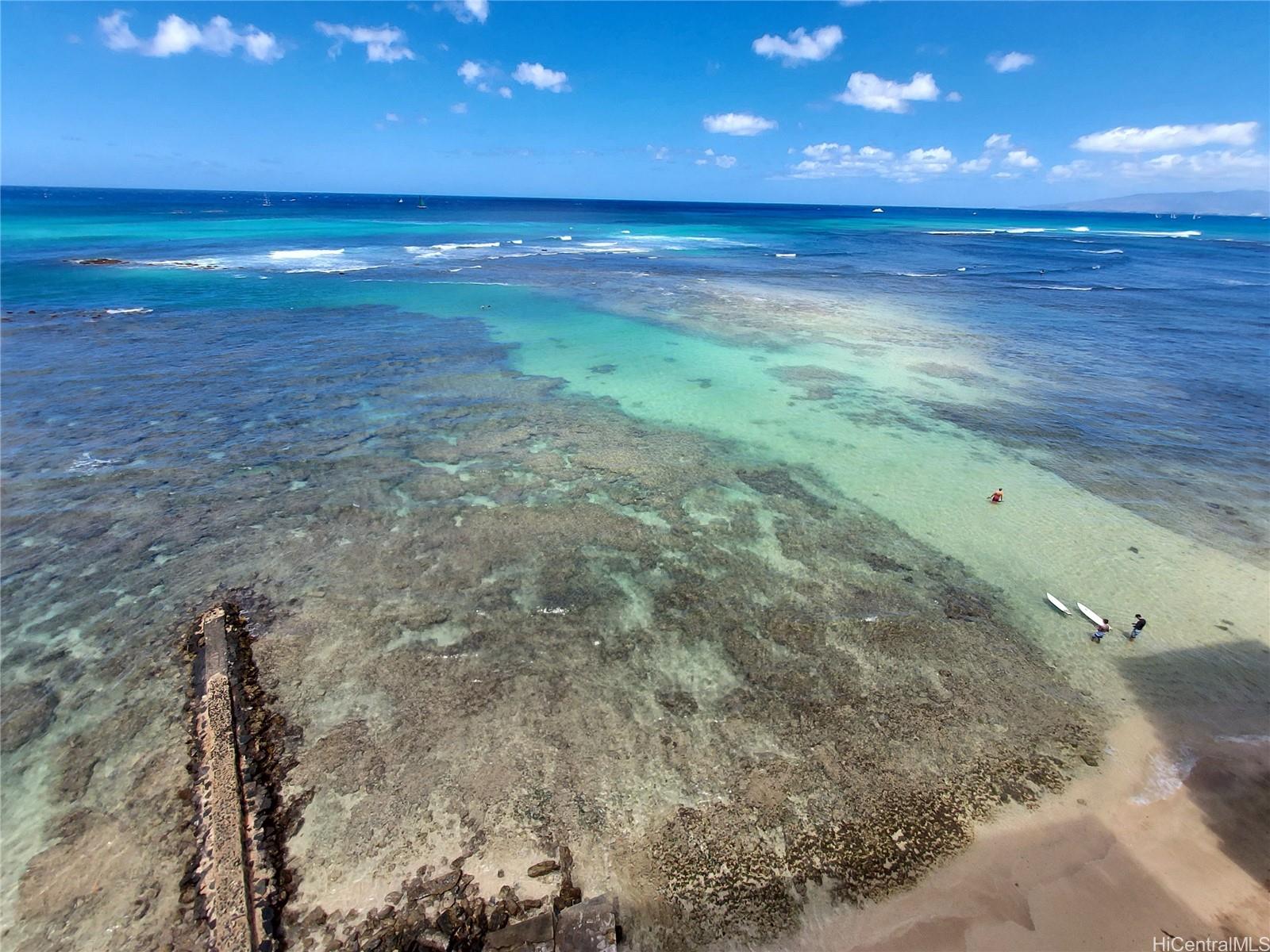 2801 Coconut Ave Honolulu - Rental - photo 11 of 12