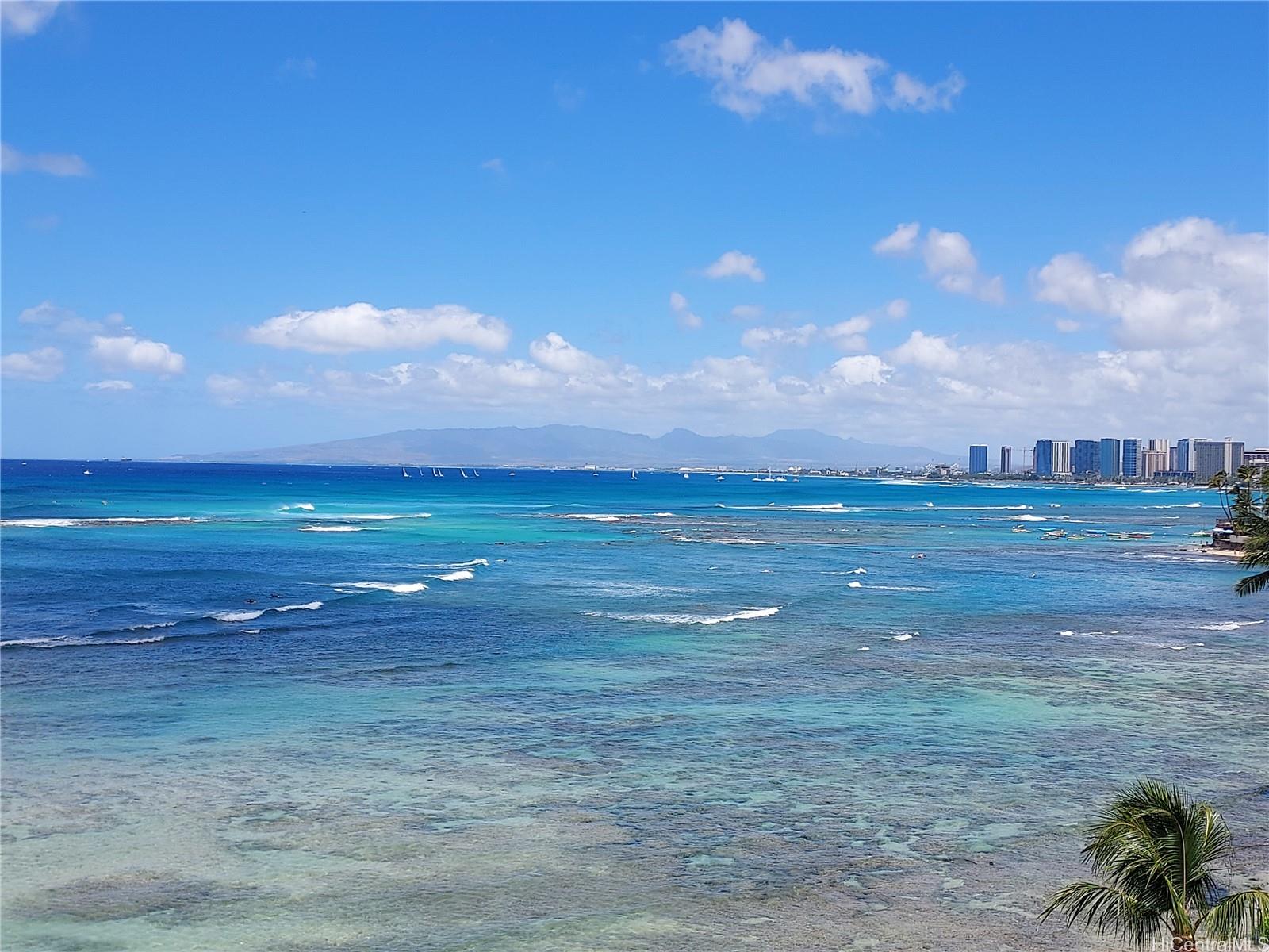 2801 Coconut Ave Honolulu - Rental - photo 12 of 12