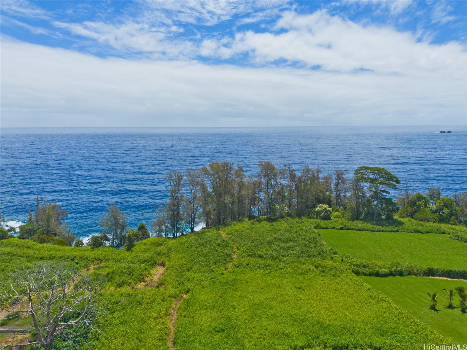 28-1168 Loa Road  Pepeekeo, Hi vacant land for sale - photo 11 of 13