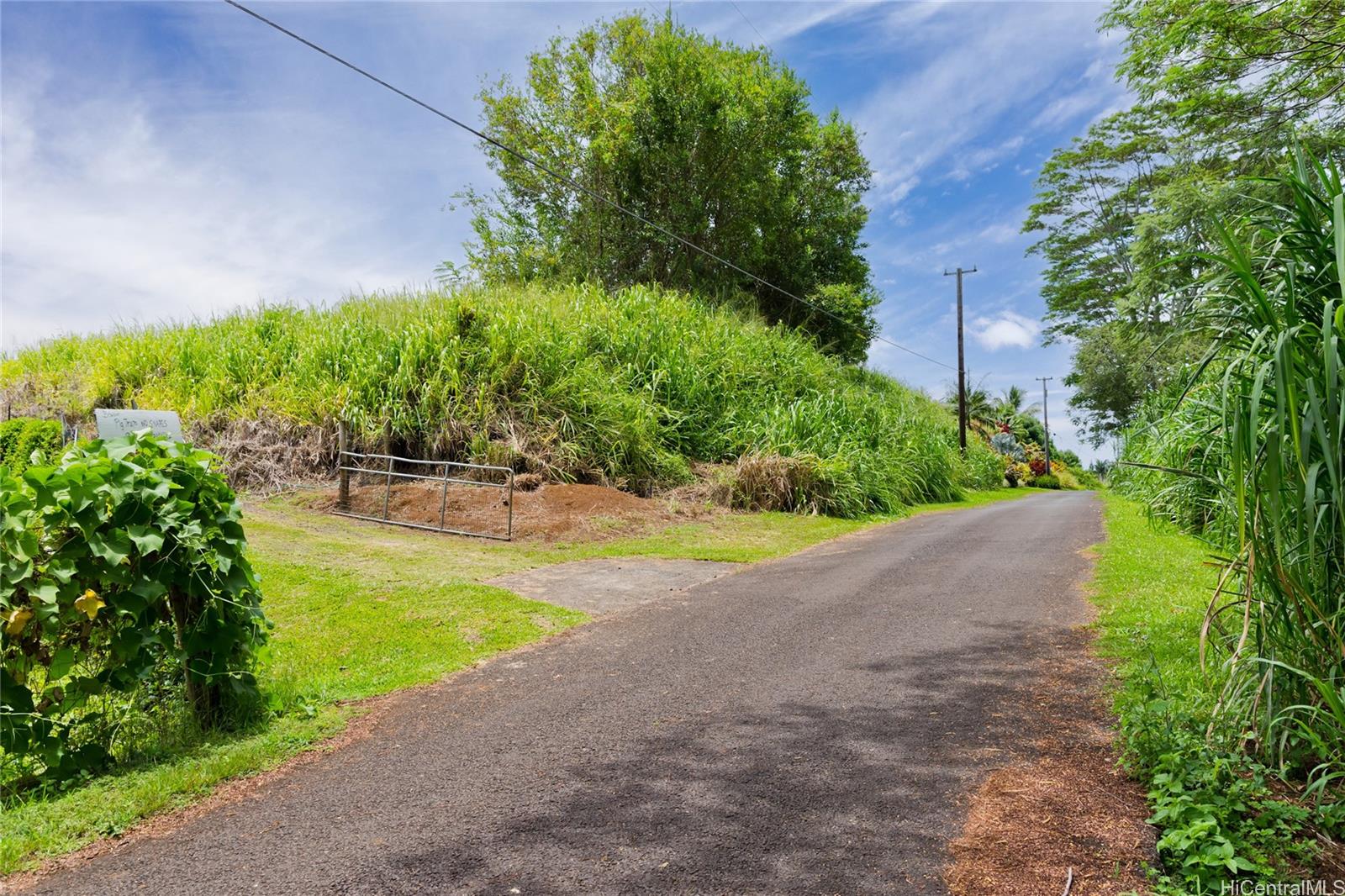 28-1168 Loa Road  Pepeekeo, Hi vacant land for sale - photo 12 of 13