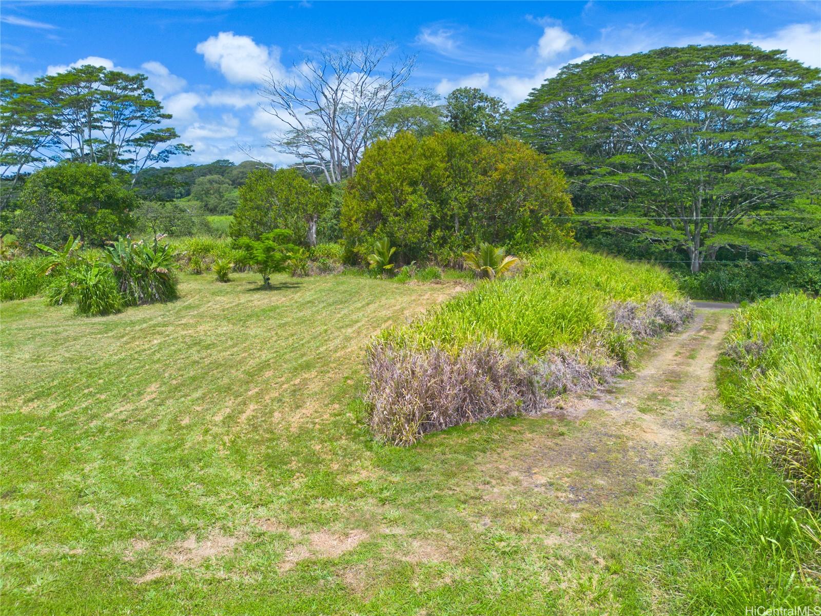 28-1168 Loa Road  Pepeekeo, Hi vacant land for sale - photo 13 of 13