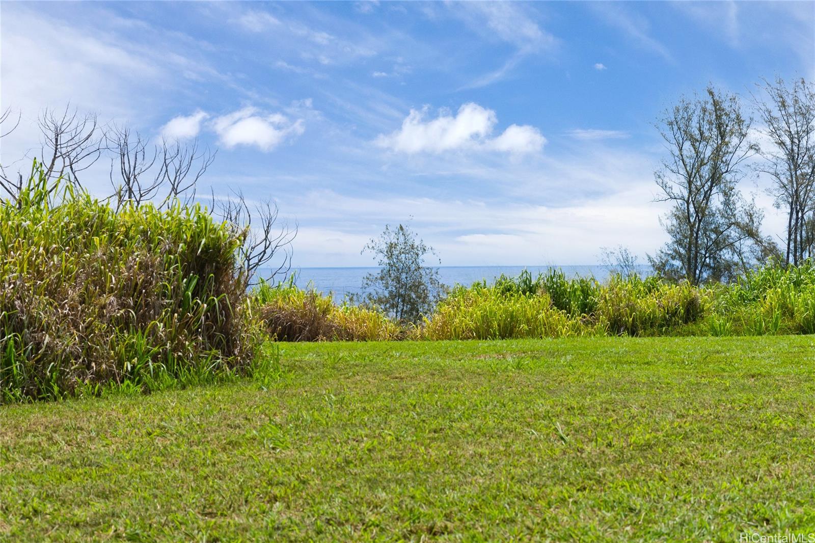 28-1168 Loa Road  Pepeekeo, Hi vacant land for sale - photo 4 of 13
