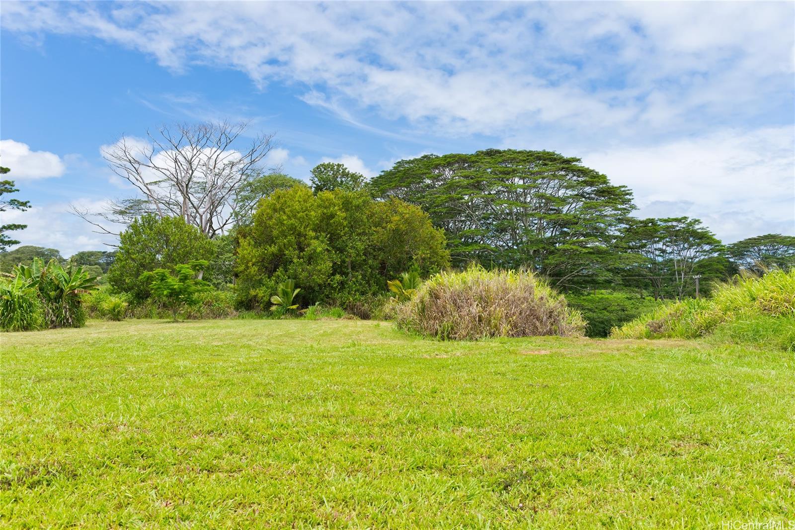 28-1168 Loa Road  Pepeekeo, Hi vacant land for sale - photo 5 of 13