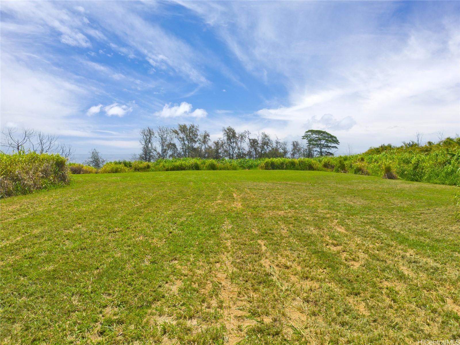 28-1168 Loa Road  Pepeekeo, Hi vacant land for sale - photo 6 of 13