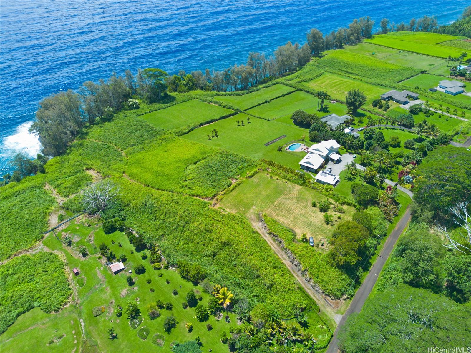 28-1168 Loa Road  Pepeekeo, Hi vacant land for sale - photo 7 of 13
