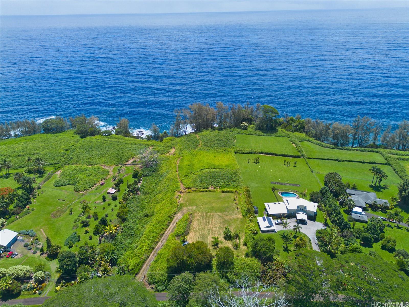 28-1168 Loa Road  Pepeekeo, Hi vacant land for sale - photo 10 of 13