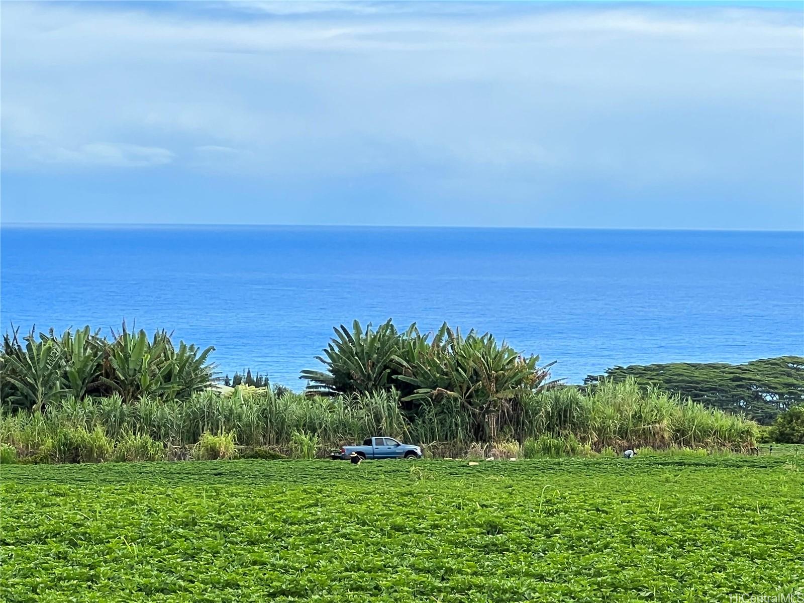 28278 Iliopua Rd Honomu Hawaii Rental