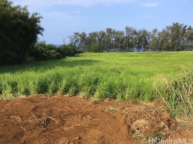 28-3280 Beach Rd  Pepeekeo, Hi vacant land for sale - photo 5 of 9