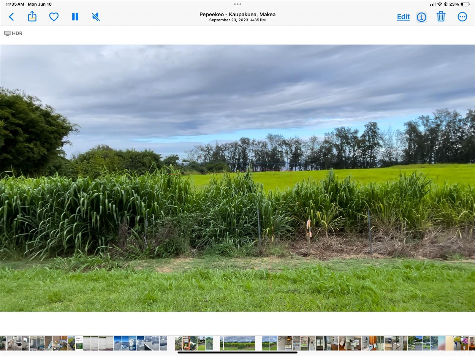 28-3280 Beach Rd  Pepeekeo, Hi vacant land for sale - photo 7 of 9