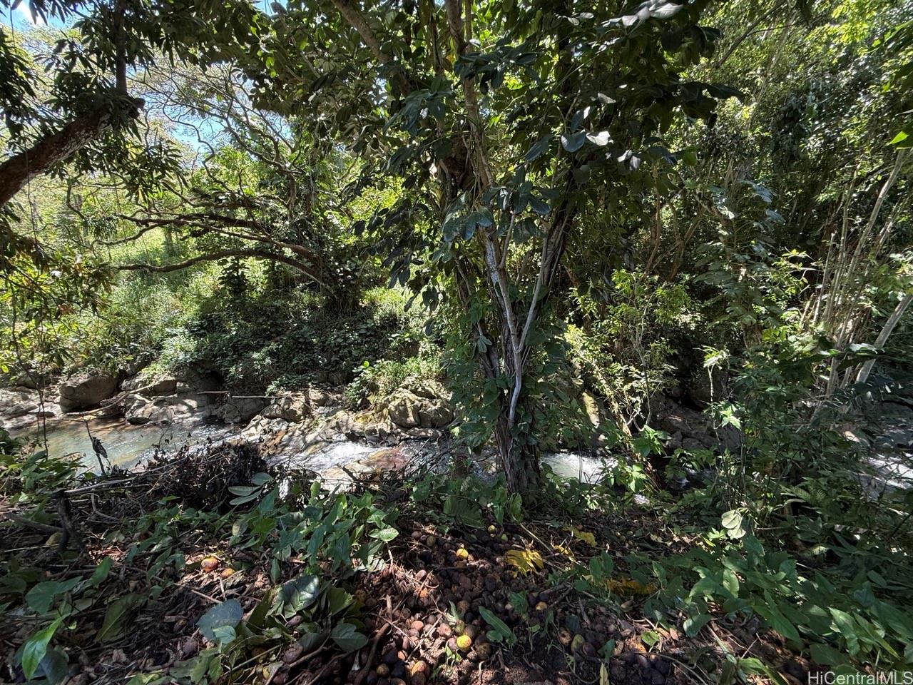 2840C  Kalihi Street Kalihi Valley, Honolulu home - photo 14 of 16