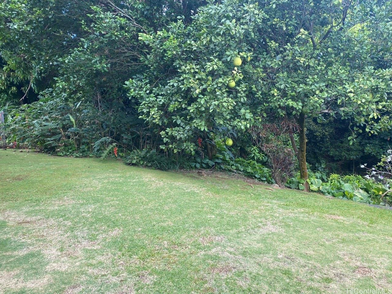 2840C  Kalihi Street Kalihi Valley, Honolulu home - photo 14 of 14