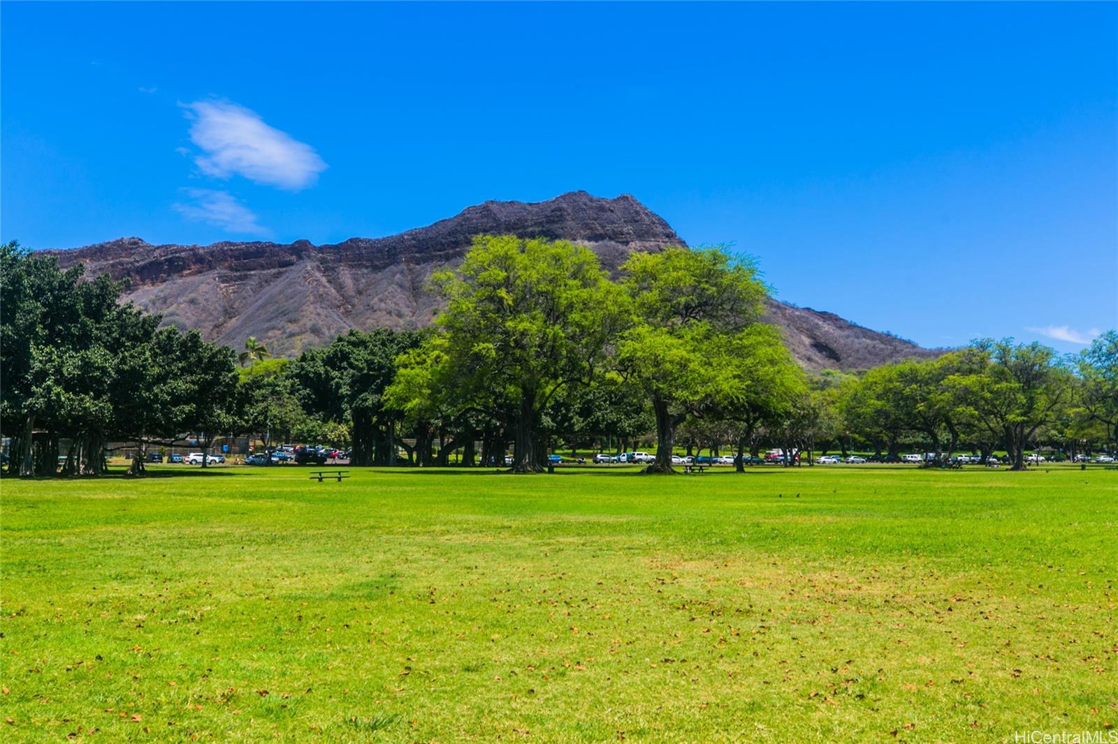 2895 Kalakaua Ave Honolulu - Rental - photo 23 of 24