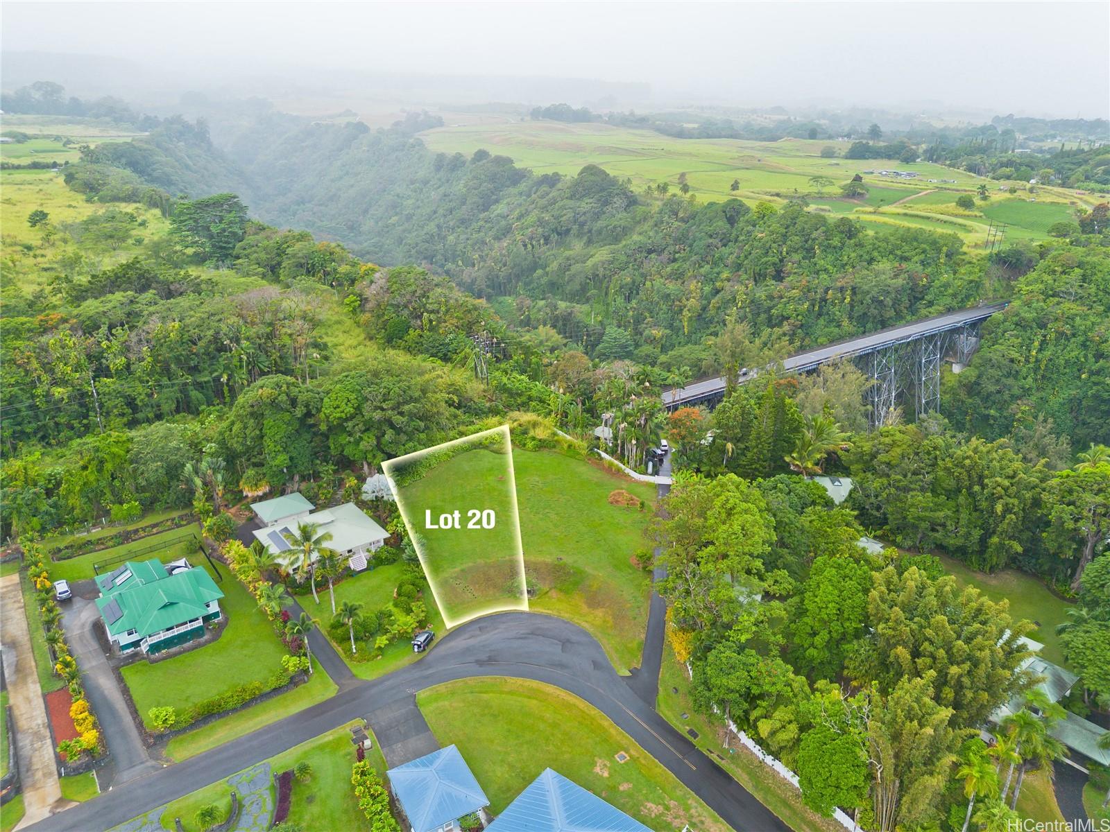 29-2291 Hanamalo Loop  Hakalau, Hi vacant land for sale - photo 2 of 9