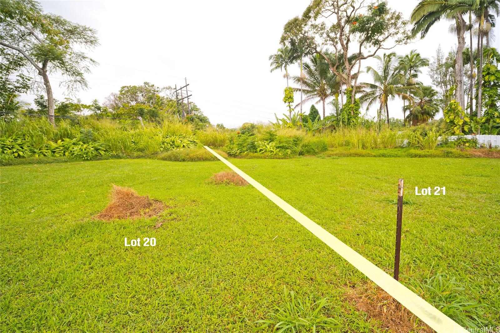 29-2291 Hanamalo Loop  Hakalau, Hi vacant land for sale - photo 4 of 9